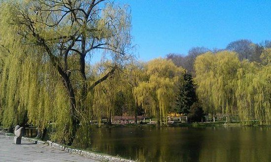 Fontanna Neptuna w Gdańsku